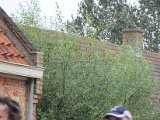 IFF 2014 - 049.jpg